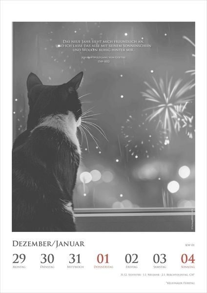 Produktbild: Der poetische Katzenkalender im Format 21 x 29,7
