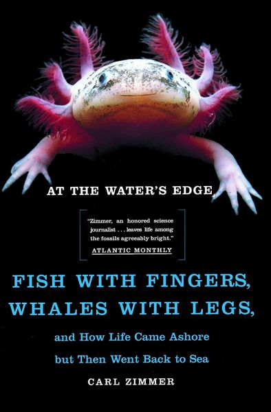 Produktbild: At the Water's Edge