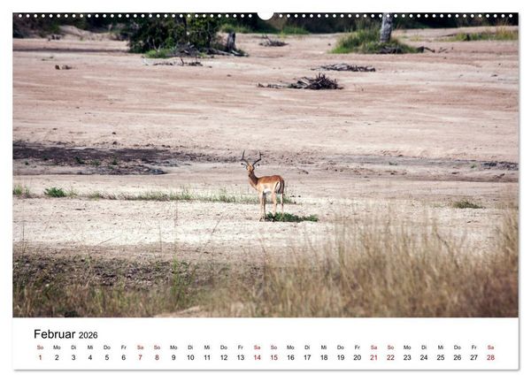 Produktbild: Sambia und der Sambesi (hochwertiger Premium Wandkalender 2026 DIN A2 quer), Kunstdruck in Hochglanz