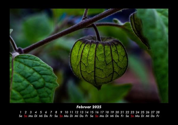 Produktbild: Unser Heimatplanet 2025 Fotokalender DIN A3