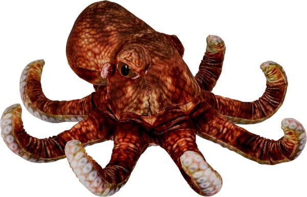 Produktbild: Oktopus Nature Zoom Wild
