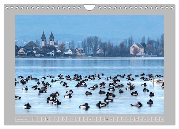 Produktbild: Insel Reichenau - Gr&ouml;&szlig;te Insel im Bodensee (Wandkalender 2026 DIN A4 quer), CALVENDO Monatskalender