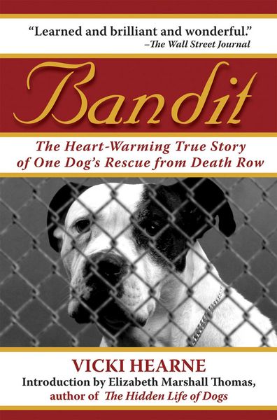 Produktbild: Bandit