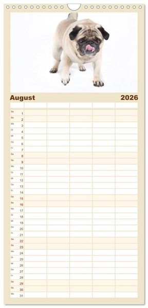 Produktbild: Familienplaner 2026 - Mops - unwiderstehlich und charmant mit 5 Spalten (Wandkalender, 21 x 45 cm) CALVENDO