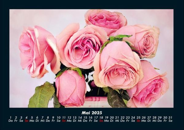 Produktbild: Rosen-Kalender 2025 Fotokalender DIN A4