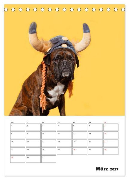 Produktbild: colorful world of boxer 2027 (Tischkalender 2027 DIN A5 hoch), CALVENDO Monatskalender
