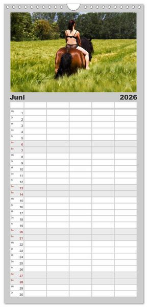 Produktbild: Familienplaner 2026 - Titanen Girls 2026 - erotische Frauen und starke Pferde mit 5 Spalten (Wandkalender, 21 x 45 cm) CALVENDO