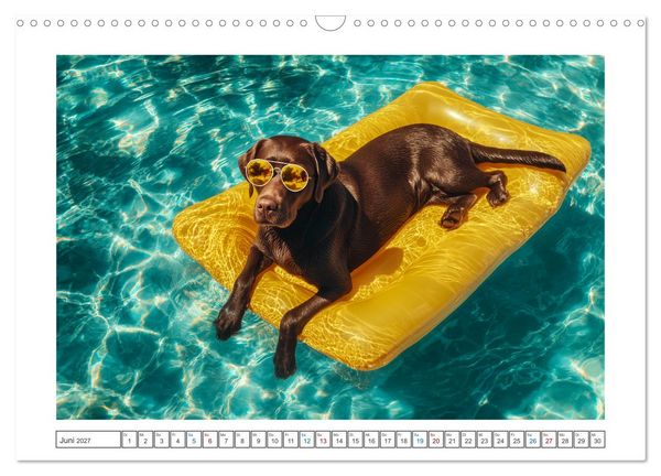 Produktbild: WUFF und WOW (Wandkalender 2027 DIN A3 quer), CALVENDO Monatskalender