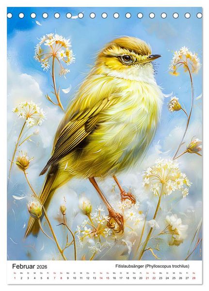 Produktbild: Heimische V&ouml;gel - Singv&ouml;gel zwischen Bl&uuml;ten und Beeren (Tischkalender 2026 DIN A5 hoch), CALVENDO Monatskalender