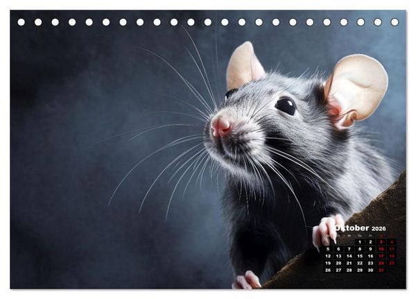 Produktbild: Only Black (Tischkalender 2026 DIN A5 quer), CALVENDO Monatskalender