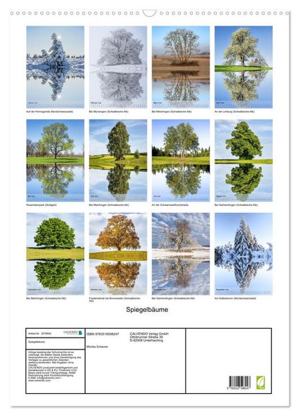 Produktbild: Spiegelb&auml;ume (Wandkalender 2026 DIN A2 hoch), CALVENDO Monatskalender