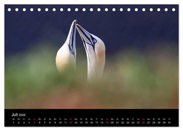 Produktbild: Helgoland (Tischkalender 2026 DIN A5 quer), CALVENDO Monatskalender