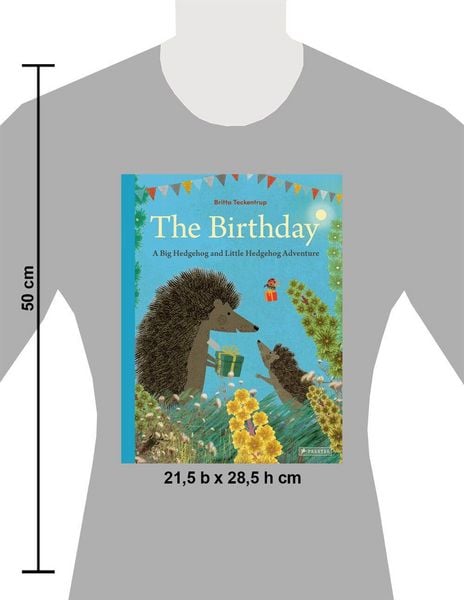 Produktbild: The Birthday: A Big Hedgehog and Little Hedgehog Adventure