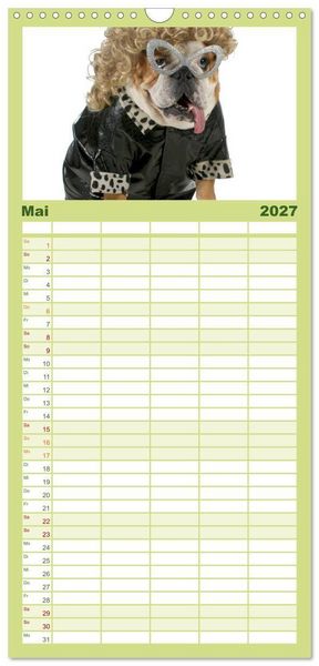 Produktbild: Familienplaner 2027 - English Bulldog XXL Models mit 5 Spalten (Wandkalender, 21 x 45 cm) CALVENDO