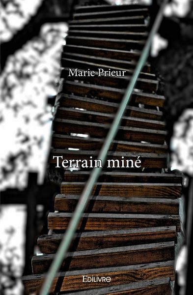 Produktbild: Terrain min&eacute;