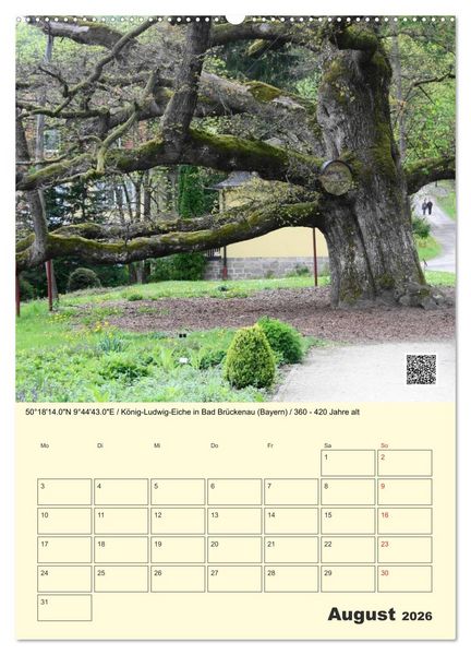 Produktbild: Uralt - Mit QR-Code und GPS zu alten B&auml;umen (hochwertiger Premium Wandkalender 2026 DIN A2 hoch), Kunstdruck in Hochglanz