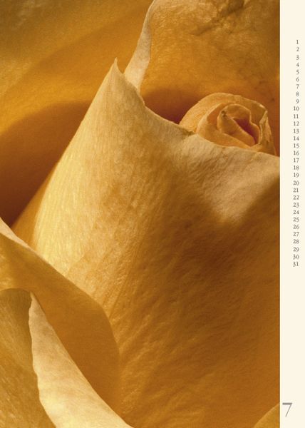Produktbild: Bl&uuml;tensprache