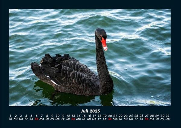 Produktbild: Tierkalender 2025 Fotokalender DIN A4