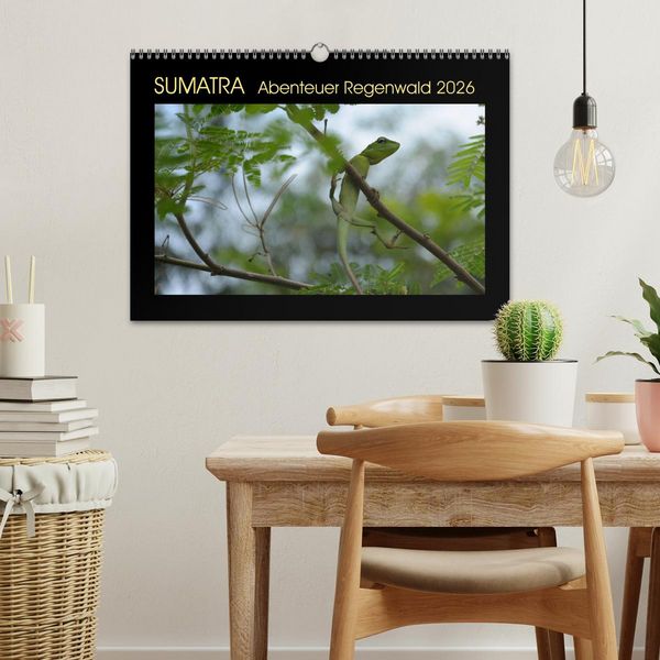 Produktbild: SUMATRA Abenteuer Regenwald (Wandkalender 2026 DIN A3 quer), CALVENDO Monatskalender