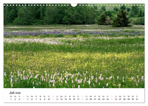 Produktbild: Naturerlebnis im Biosph&auml;renreservat Rh&ouml;n (Wandkalender 2026 DIN A3 quer), CALVENDO Monatskalender