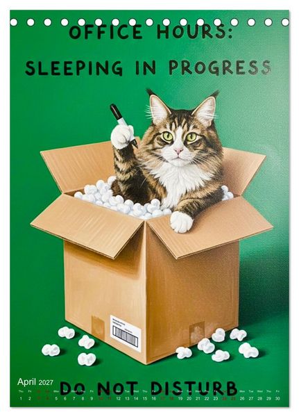 Produktbild: CATitude A YEAR OF CAT LIFE (Desk Calendar 2027 DIN A5 portrait), CALVENDO 12 Month DeskCalendar