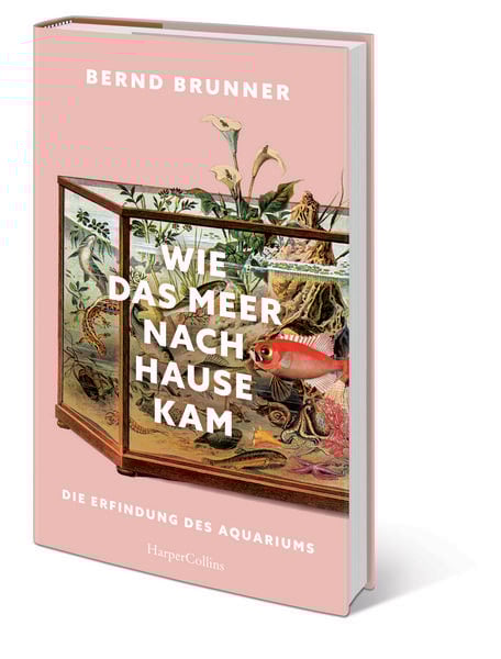 Produktbild: Wie das Meer nach Hause kam. Die Erfindung des Aquariums