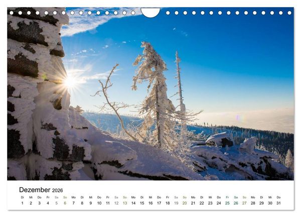Produktbild: Traumlandschaften im Bayrischen Wald (Wandkalender 2026 DIN A4 quer), CALVENDO Monatskalender