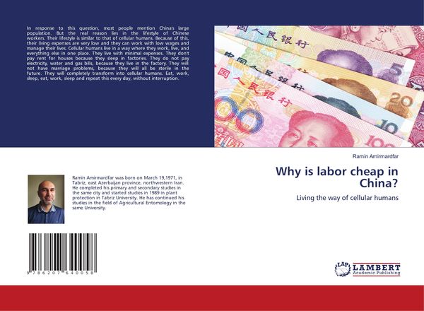 Produktbild: Why is labor cheap in China?