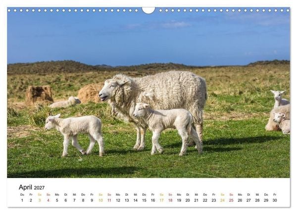Produktbild: Sylt - Meine Trauminsel (Wandkalender 2027 DIN A3 quer), CALVENDO Monatskalender