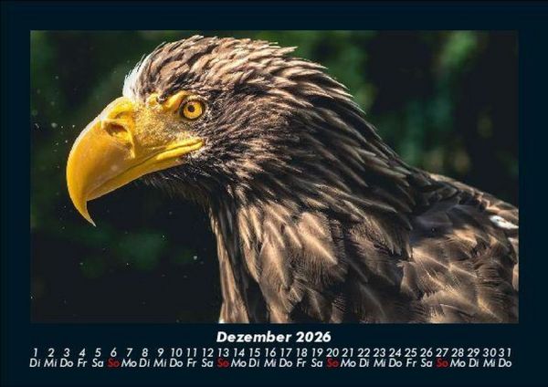 Produktbild: Adler 2026 Fotokalender DIN A5