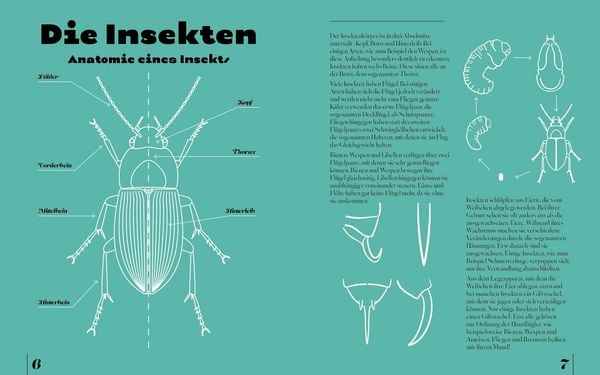 Produktbild: Insekten & Krabbeltiere
