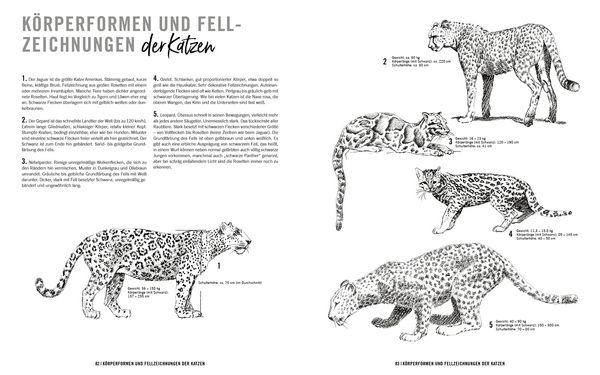 Produktbild: Richtig gut zeichnen &ndash; Tiere