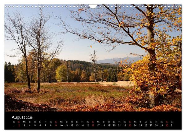 Produktbild: Zauberhafter Bayerischer Wald (Wandkalender 2026 DIN A3 quer), CALVENDO Monatskalender