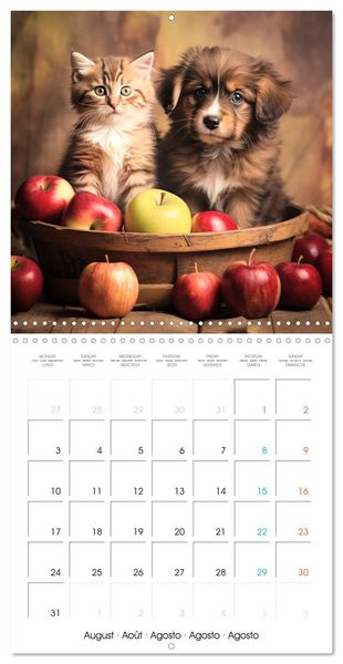 Produktbild: Mignon duo (Calendrier mural carr&eacute; 2026 30x30 cm) Calendrier double avec une page pour vos prises de notes