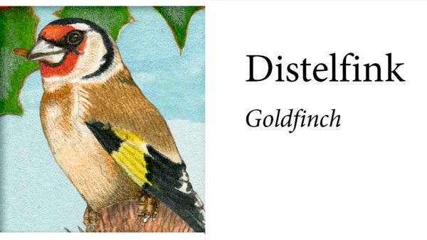 Produktbild: Sound-Adventskalender &ndash; Unsere V&ouml;gel im Winter