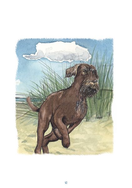 Produktbild: Jakobsons Nordsee