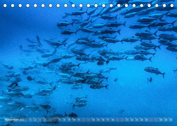 Produktbild: Das Blau der Tiefe (Tischkalender 2022 DIN A5 quer)