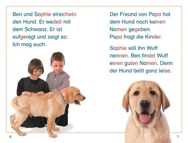 Produktbild: SUPERLESER! Kennenlern-Paket (8 B&auml;nde)