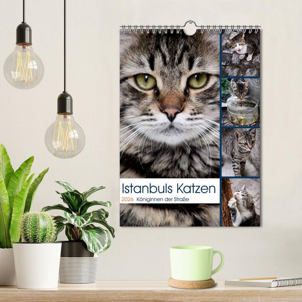 Produktbild: Istanbuls Katzen (Wandkalender 2026 DIN A4 hoch), CALVENDO Monatskalender