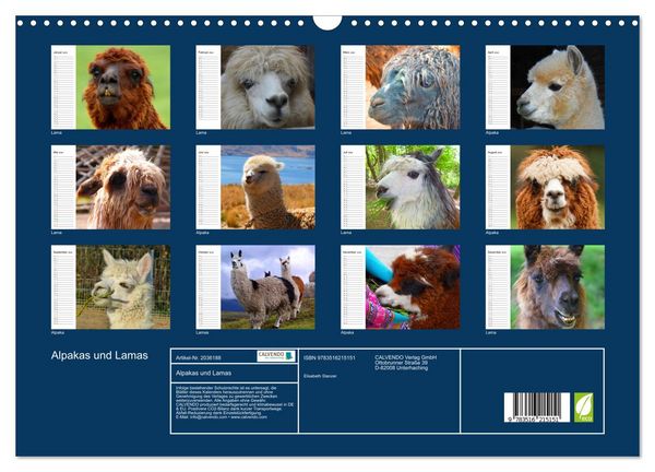 Produktbild: Alpakas und Lamas (Wandkalender 2026 DIN A3 quer), CALVENDO Monatskalender