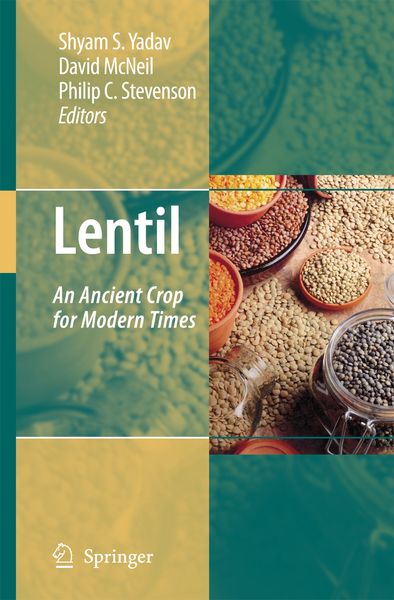 Produktbild: Lentil