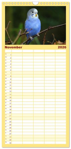 Produktbild: Familienplaner 2026 - Wellensittichkalender! - Das Original mit 5 Spalten (Wandkalender, 21 x 45 cm) CALVENDO