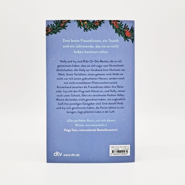 Produktbild: The Holiday Switch