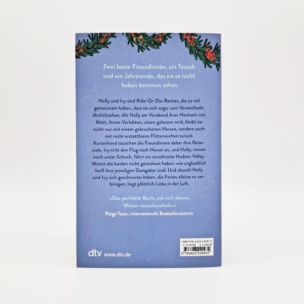 Produktbild: The Holiday Switch