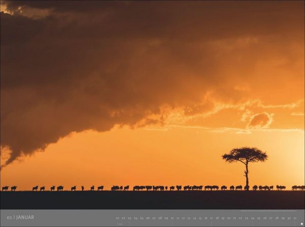 Produktbild: Afrika - Edition Alexander von Humboldt Kalender 2027