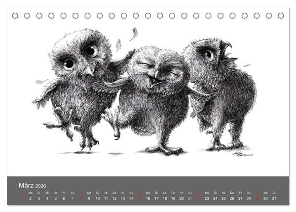 Produktbild: owls & friends 2026 (Tischkalender 2026 DIN A5 quer), CALVENDO Monatskalender