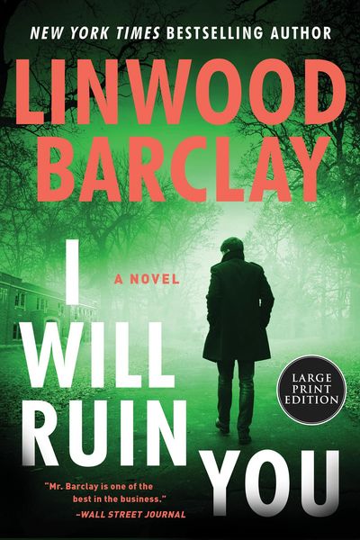 Produktbild: I Will Ruin You