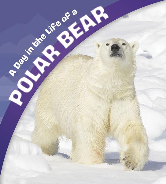 Produktbild: Day in the Life of a Polar Bear