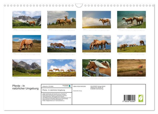 Produktbild: Pferde - In nat&uuml;rlicher Umgebung (Wandkalender 2026 DIN A3 quer), CALVENDO Monatskalender