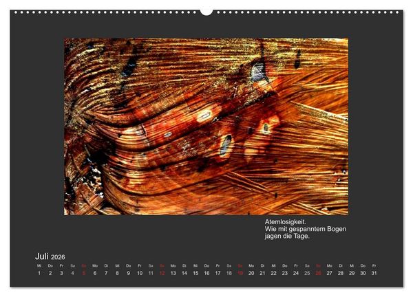 Produktbild: MAGIE HOLZ 2026 (hochwertiger Premium Wandkalender 2026 DIN A2 quer), Kunstdruck in Hochglanz